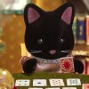 ⁦משפ' סילבניאן - משפחת חתולי לילה⁩ – תמונה ⁦4⁩