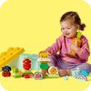 ⁦לגו דופלו - גינה אורגנית 10984⁩ – תמונה ⁦5⁩